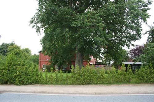 Foto - 2 Zimmerwohnung in Süderholm, frei ab 01.12.2025