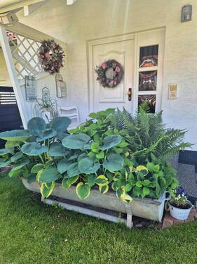 Foto - Gepflegte Dopoelhaushälfte - 354.000,00&nbsp;EUR Kaufpreis, ca.&nbsp; 127,00&nbsp;m&sup2;