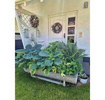 Gepflegte Dopoelhaushälfte - 354.000,00&nbsp;EUR Kaufpreis, ca.&nbsp; 127,00&nbsp;m&sup2; in Frankenberg (Eder) (PLZ: 35066)