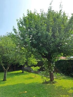 Foto - 2 Zimmer Etagenwohnung in Vettelschoß