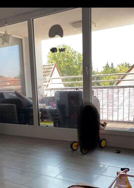 Foto - Dachgeschoßwohnung in Nußloch zur Miete