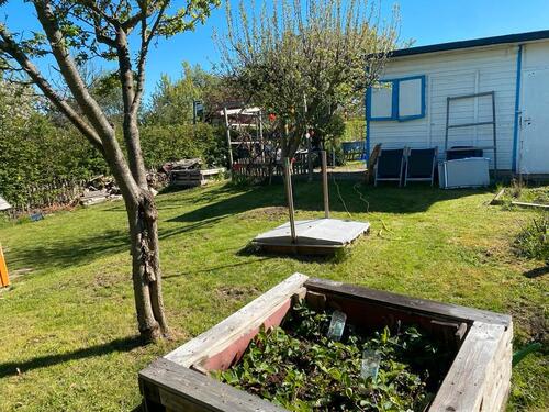Foto - Kleingarten abzugeben - 500,00&nbsp;EUR Kaltmiete, ca.&nbsp; 0,00&nbsp;m&sup2;