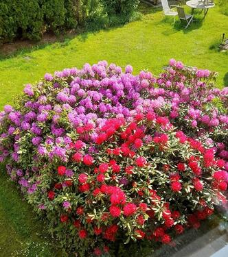 Foto - Zimmer zu vermieten - 350,00&nbsp;EUR Kaltmiete, ca.&nbsp; 95,00&nbsp;m&sup2;