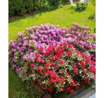 Zimmer zu vermieten - 350,00&nbsp;EUR Kaltmiete, ca.&nbsp; 95,00&nbsp;m&sup2; in Elmenhorst (PLZ: 23869)