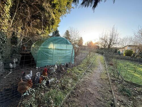 Foto - Grundst&uuml;ck in Malchow zur Miete