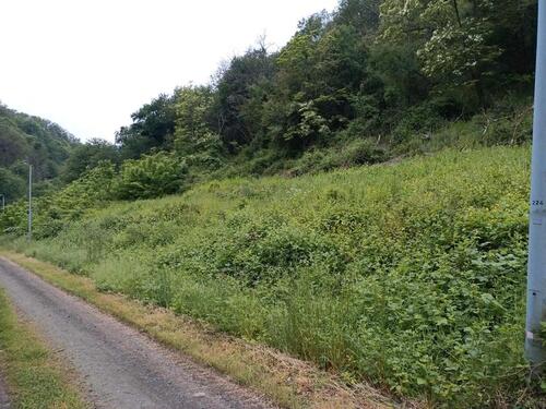 Foto - 5 Zimmer Einfamilienhaus in Kaub