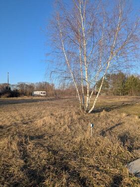 Foto - Nutzflächen im Grünen – 14558 Saarmund