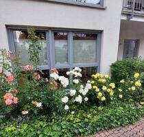 barrierefreie Wohnung in Gudensberg Zentrum (2012, A+, EBK)
