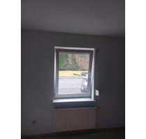 1-Zimmer-Wohnung (34 m²) in ruhiger Lage – Niederdreisbach - Steinebach/Sieg