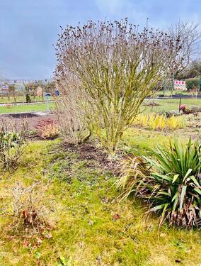 Foto - Grundst&uuml;ck in Wismar