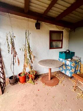 Foto - Grundst&uuml;ck in Wismar zur Miete