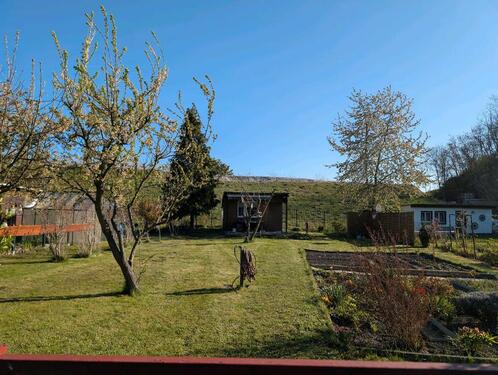 Foto - Kleingarten Coswig OT Neusörnewitz