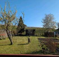 Kleingarten Coswig OT Neusörnewitz - Radebeul