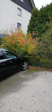 Foto - PKW Stellplatz 33106 Zentrum - 55,00 EUR Miete,