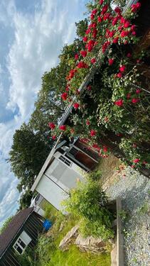 Foto - Pachtgarten mit zwei Stellplätzen, separatem Eingang abzugeben