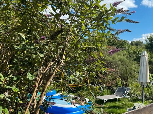 Foto - Grundst&uuml;ck zur Miete in Cottbus