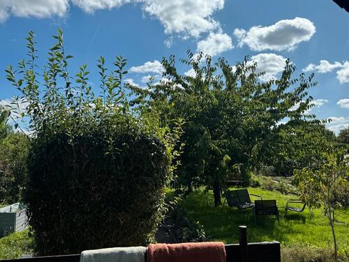 Foto - Grundst&uuml;ck in Cottbus