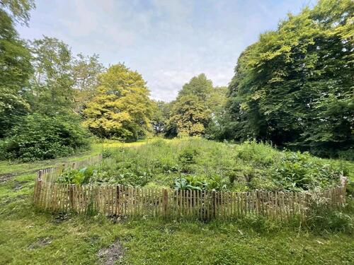 Foto - Garten Schrebergarten in 19205 Kneese