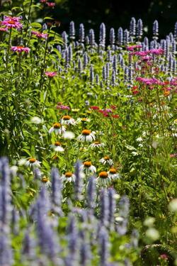 Foto - Grundst&uuml;ck zur Miete in Gadebusch