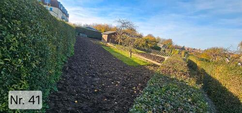 Foto - Grundst&uuml;ck in Bautzen zur Miete