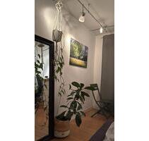 Vermietung möbliertes Zimmer in ruhigem EFHGarten Vorort Koblenz - Lahnstein