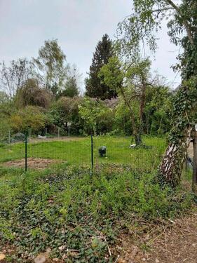 Foto - Garten Erholung Familie Kinder Freizeit Urlaub