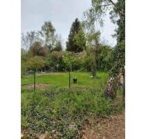 Garten Erholung Familie Kinder Freizeit Urlaub - Falkensee