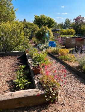 Foto - Grundst&uuml;ck zur Miete in Schwerin