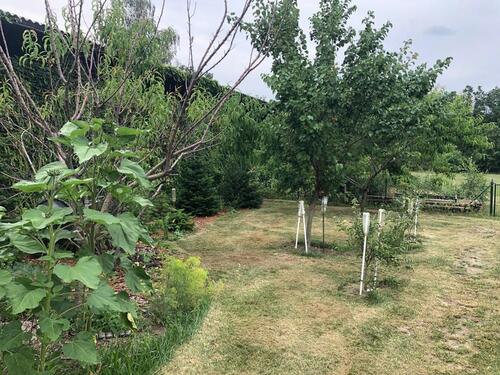 Foto - Grundst&uuml;ck in Herzberg (Elster) zur Miete