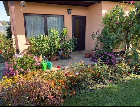 Foto - Grundst&uuml;ck in Elmenhorst/Lichtenhagen