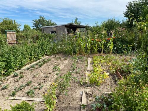 Foto - Grundst&uuml;ck zur Miete in Schwerin