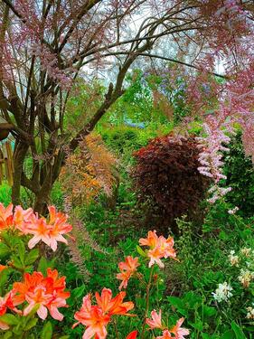 Foto - Grundst&uuml;ck in Schwerin