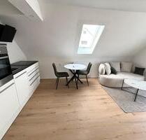 2 Zimmer- Wohnung komplett kernsaniert und möbliert - Steinheim an der Murr