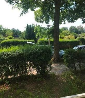 Foto - Erdgeschoßwohnung in Chemnitz zur Miete