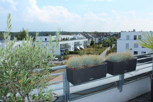 Foto - Einfamilienhaus in Bonn zur Miete