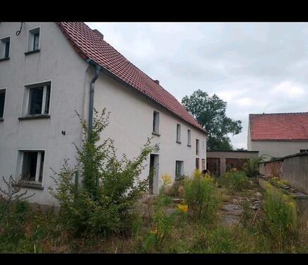 Foto - Einfamilienhaus zum Kaufen in Belgern-Schildau