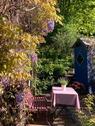 Foto - 7 Zimmer Einfamilienhaus in Selters (Taunus)