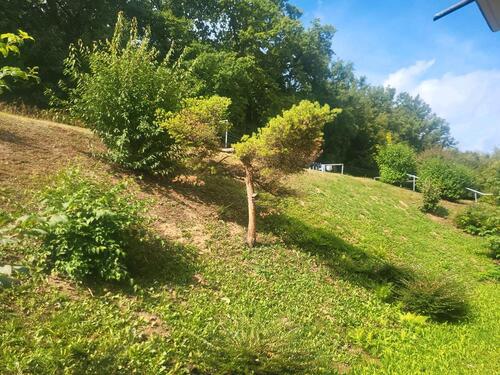 Foto - 3zkb Wohnung - 669,00 EUR Kaltmiete,