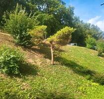 3zkb Wohnung - 669,00 EUR Kaltmiete, in Kreuztal (PLZ: 57223)