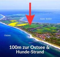 ❣️ OSTSEE Hunde Urlaub strandnahes Ferienhaus mit Garten ❣️ - Dresden