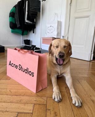 Foto - 1 Zimmer Etagenwohnung zur Miete in Berlin