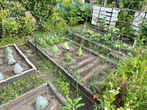 Foto - Wunderschöner Garten - 3.000,00&nbsp;EUR Kaltmiete, ca.&nbsp; 0,00&nbsp;m&sup2;