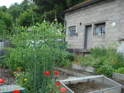 Foto - Garten zu verpachten! Garten zu vermieten!