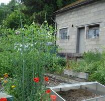 Garten zu verpachten! Garten zu vermieten! - Langenhahn
