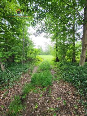Foto - Grundstück in Friesoythe zur Miete