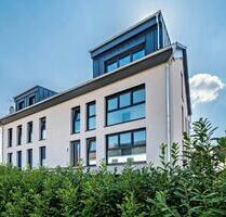 Schöne 2-Zimmer DG-Wohnung mit großer Dachterrasse - Obrigheim