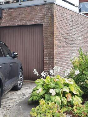 Foto - 4 Zimmer Erdgeschoßwohnung zum Kaufen in Ahlen