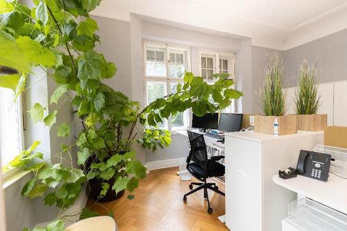 Foto - Repräsentatives Altbaubüro mit Stuck und Flügeltüren - All-in-Miete