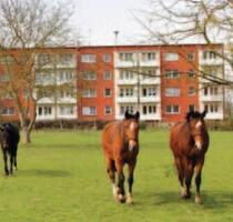 2x Bad, 110qm , 6 Zimmer , ländlich gelegen im Günen, nähe Demmin - Borrentin