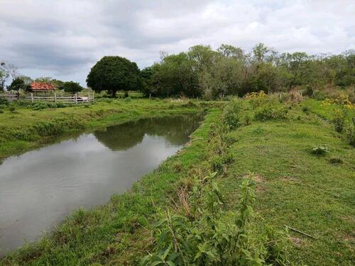 Foto - 8,5 Hektar in Paraguay, Nähe Coronel Bogado